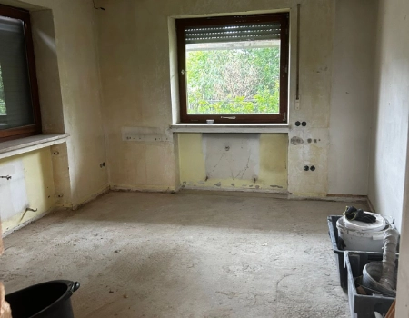 Entkernung Projekt 1