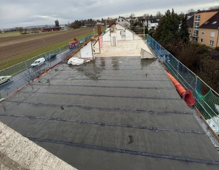 Pflasterarbeiten Projekt 5